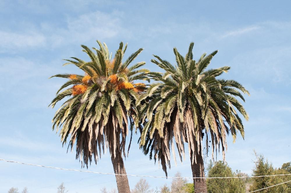 Cambria Palms Motel Esterno foto