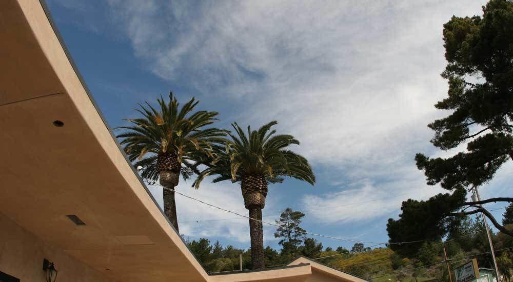 Cambria Palms Motel Esterno foto