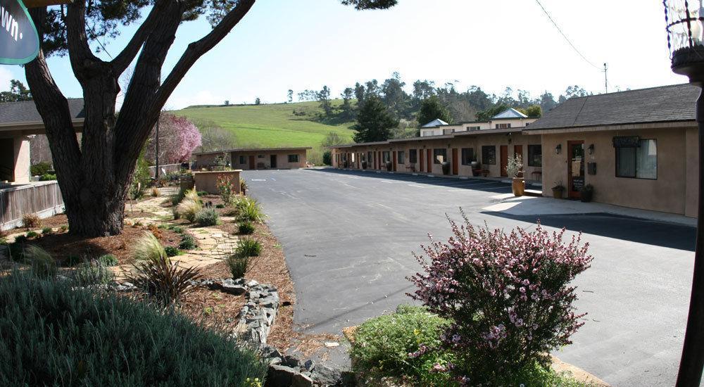 Cambria Palms Motel Esterno foto