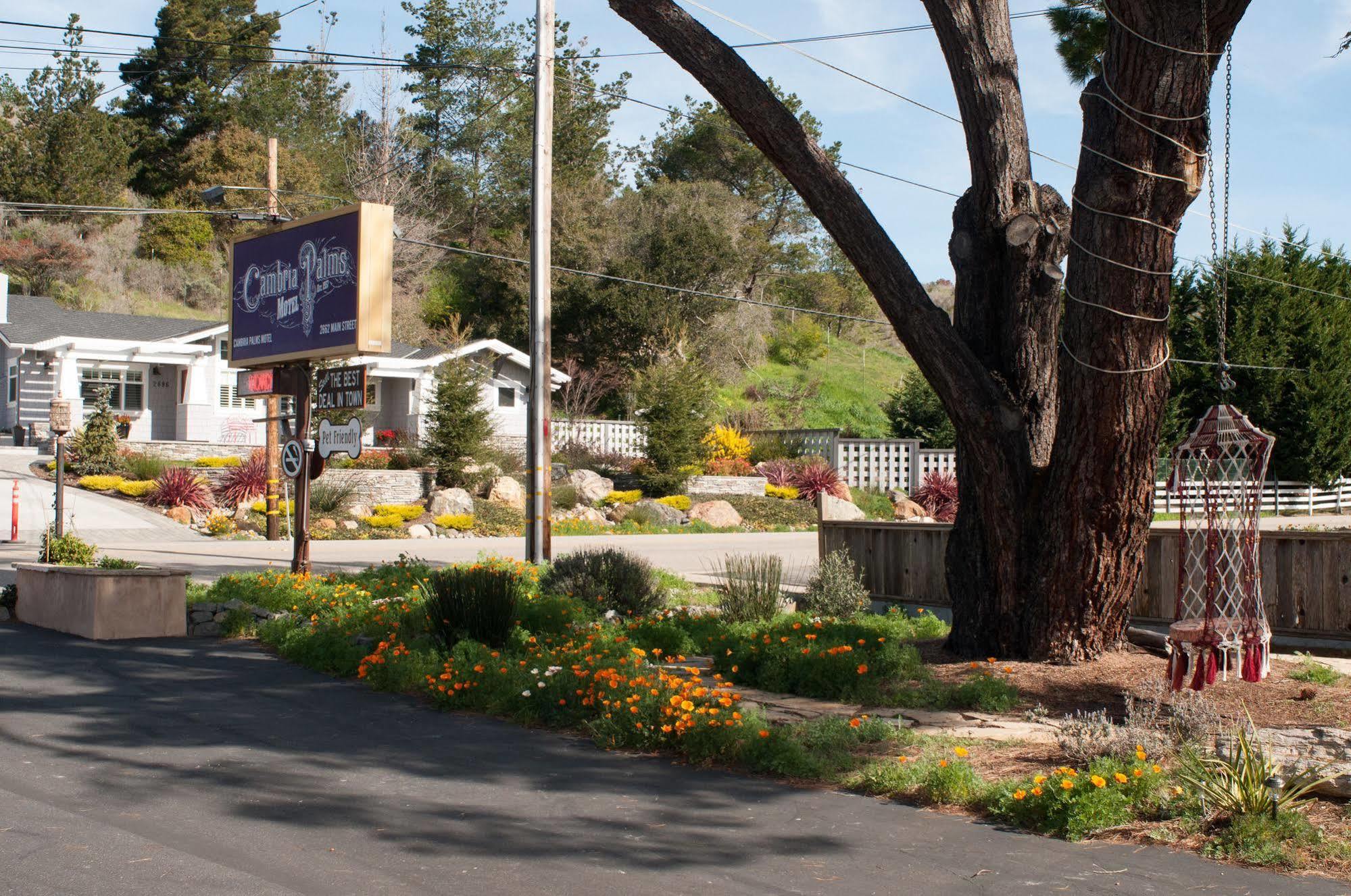 Cambria Palms Motel Esterno foto